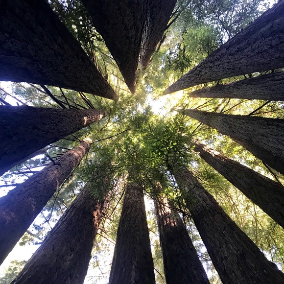 Meet the Posher - Picture 9 of 14